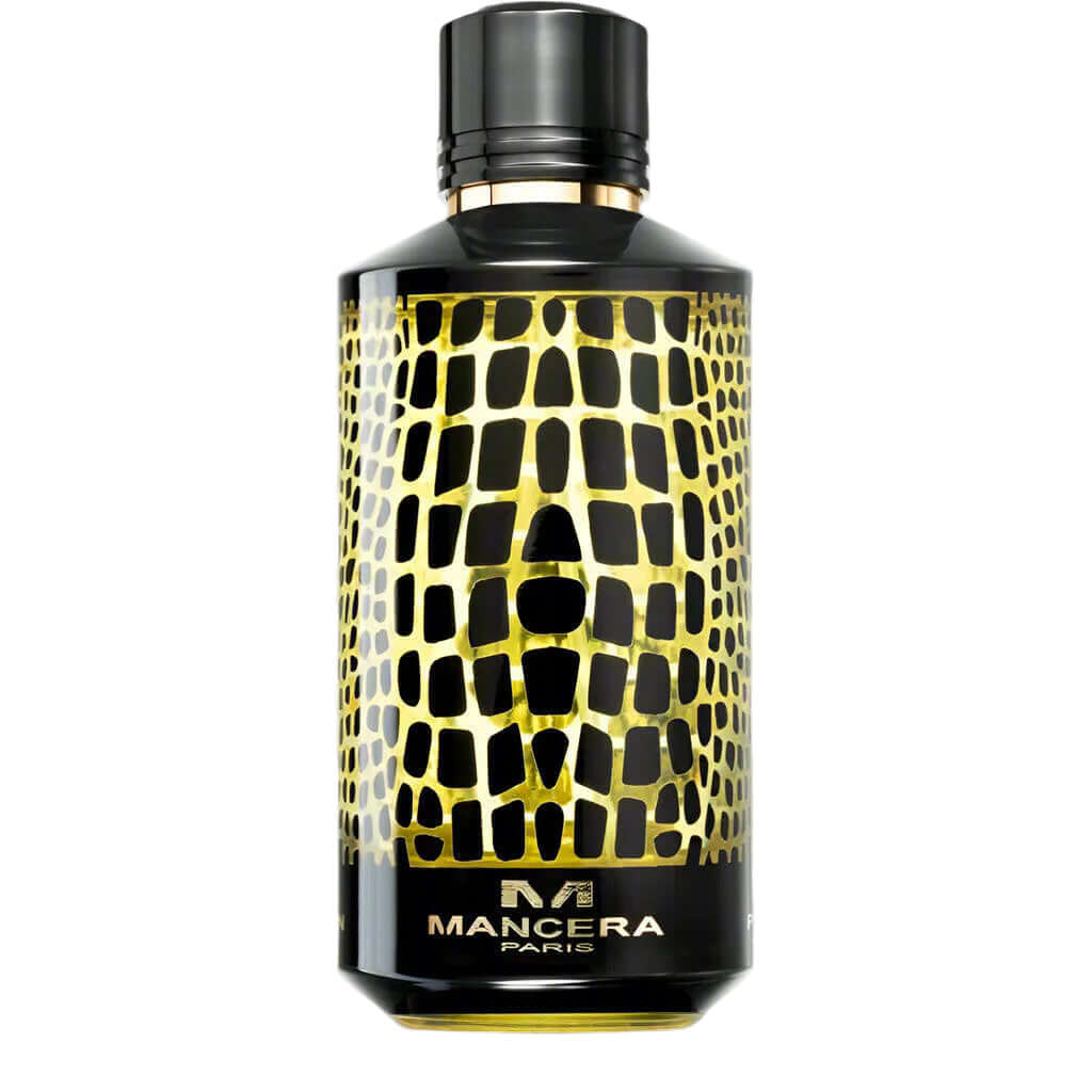Wild Python - MaisonFlorence - MANCERA